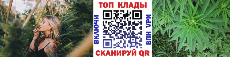 Где купить наркоту Саранск Каннабис Меф мяу мяу Альфа ПВП MDMA ГАШИШ
