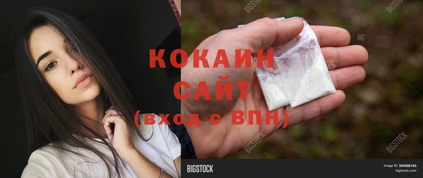 шишки Верея