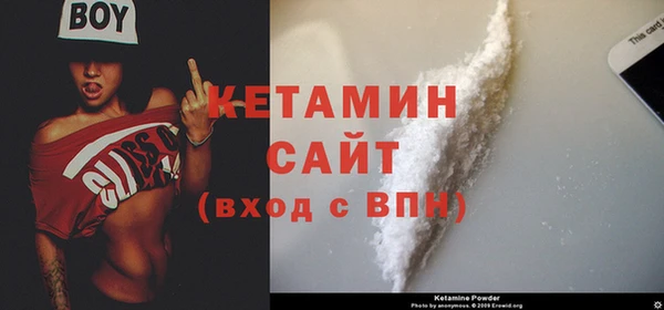 шишки Верея