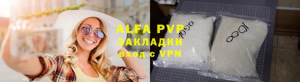 шишки Верея