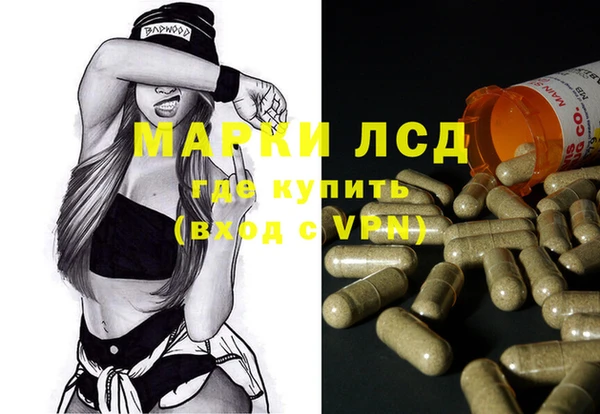 шишки Верея