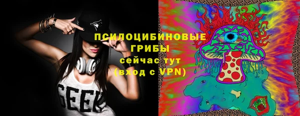 шишки Верея