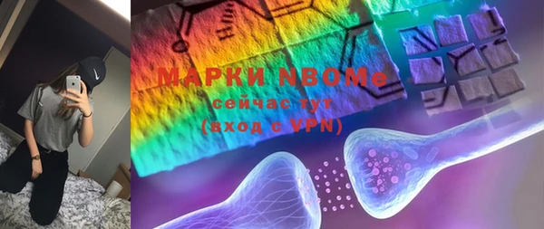 шишки Верея