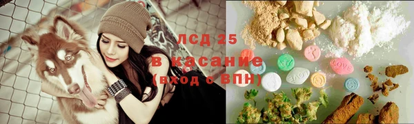 шишки Верея